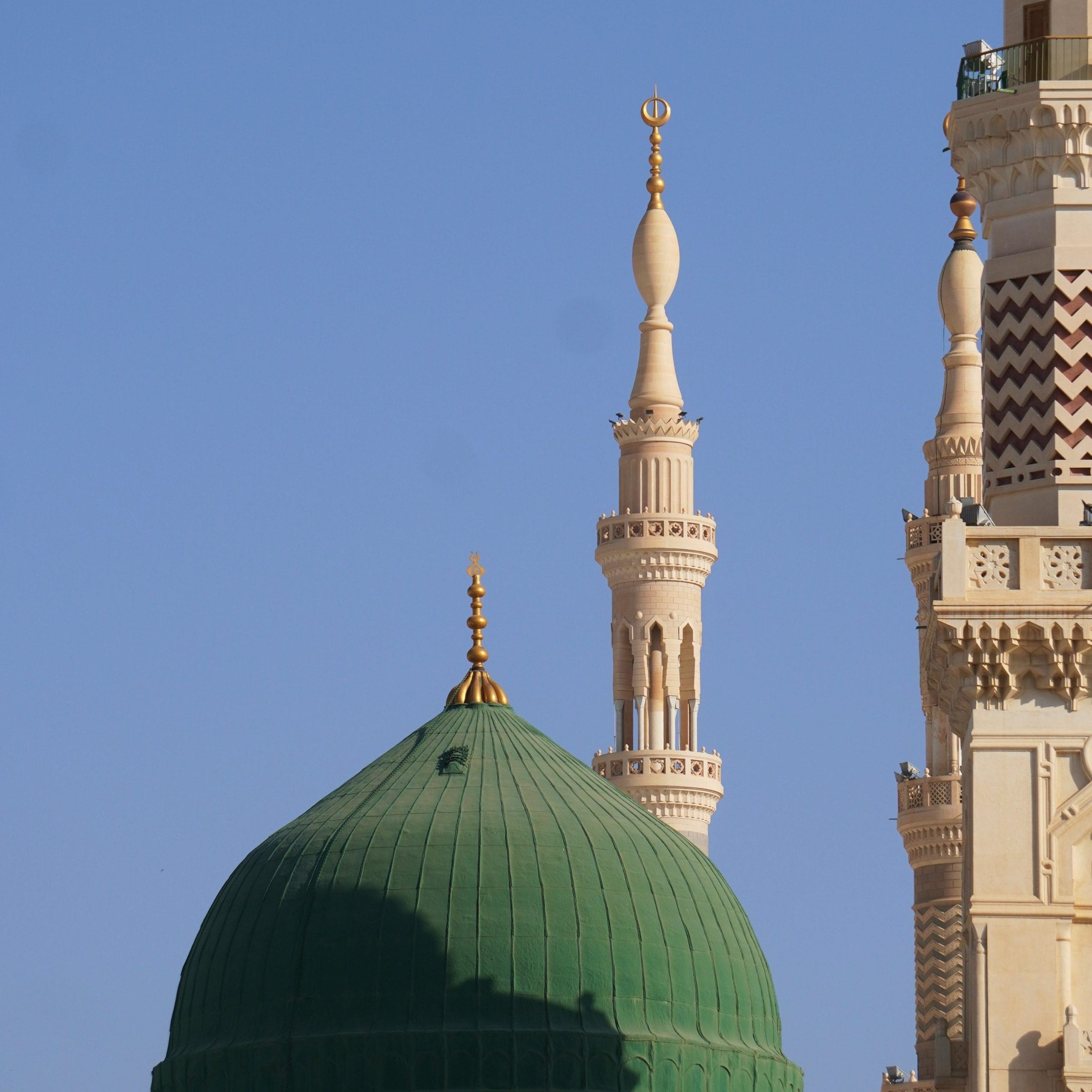 cropped djonk creative ypmytuktgla unsplash